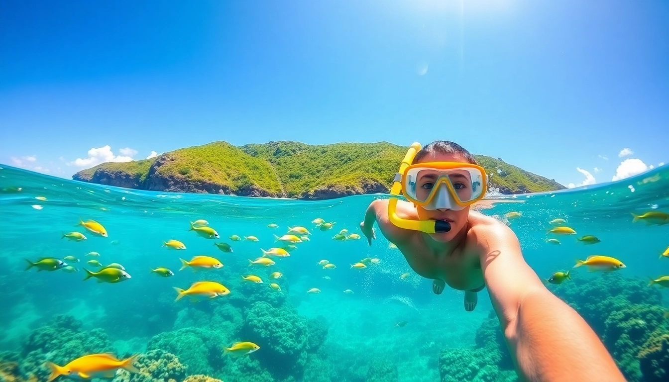 Snorkeling Puerto Rico with tropical fish in crystal-clear water and lush cliffs.